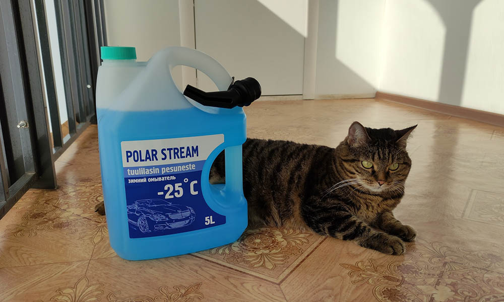 Polar Stream для авто